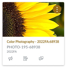 Color Photography - Fall 2022 Photo-195-68938