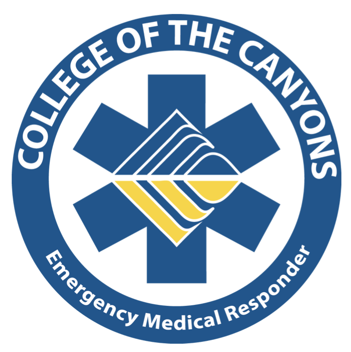 Decorative EMR logo