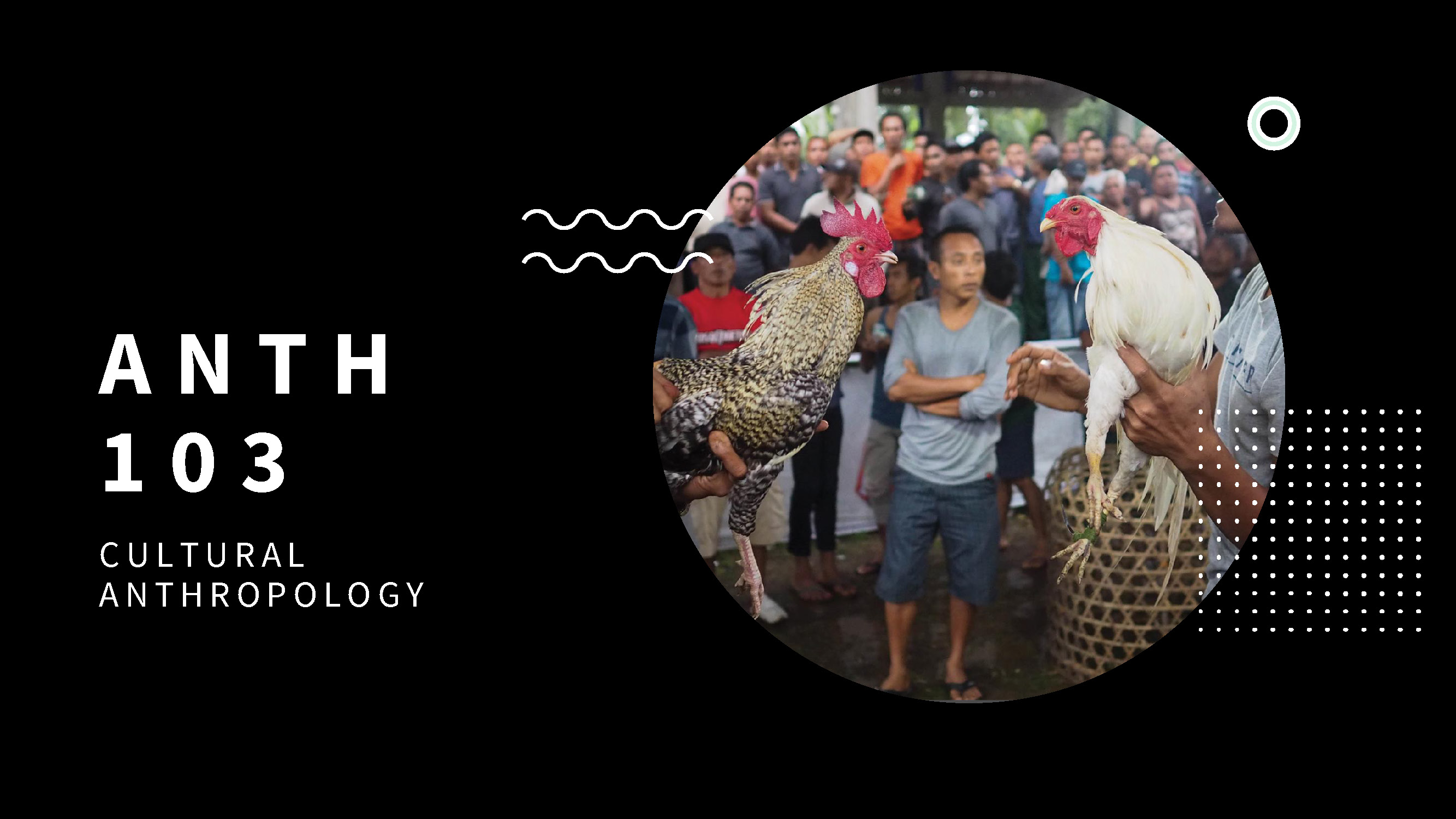 Two men prepare their prized roosters for a Balinese cockfight.