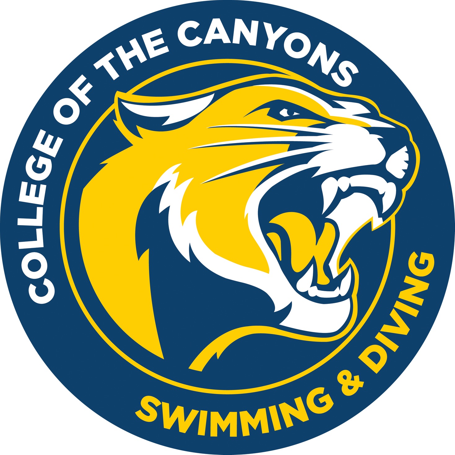 Swim Team Logo